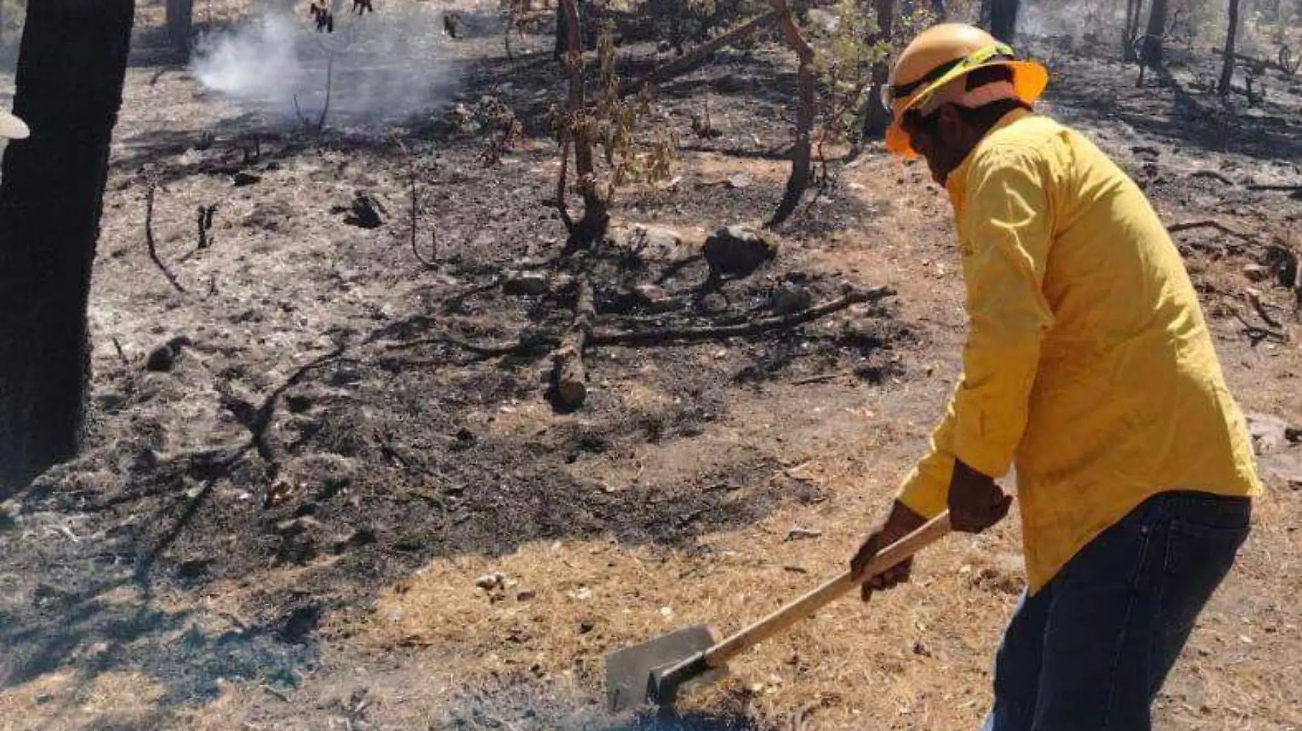 incendio forestal en Madera